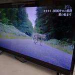 アイリスオーヤマ　32型 液晶テレビ を売るなら リサイクルショップ フライズ佐賀店 佐賀市 中古 買取り